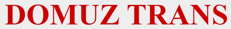 PTP Domuz-Trans logo