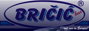 Union Bričić logo