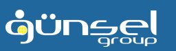 Gunsel logo