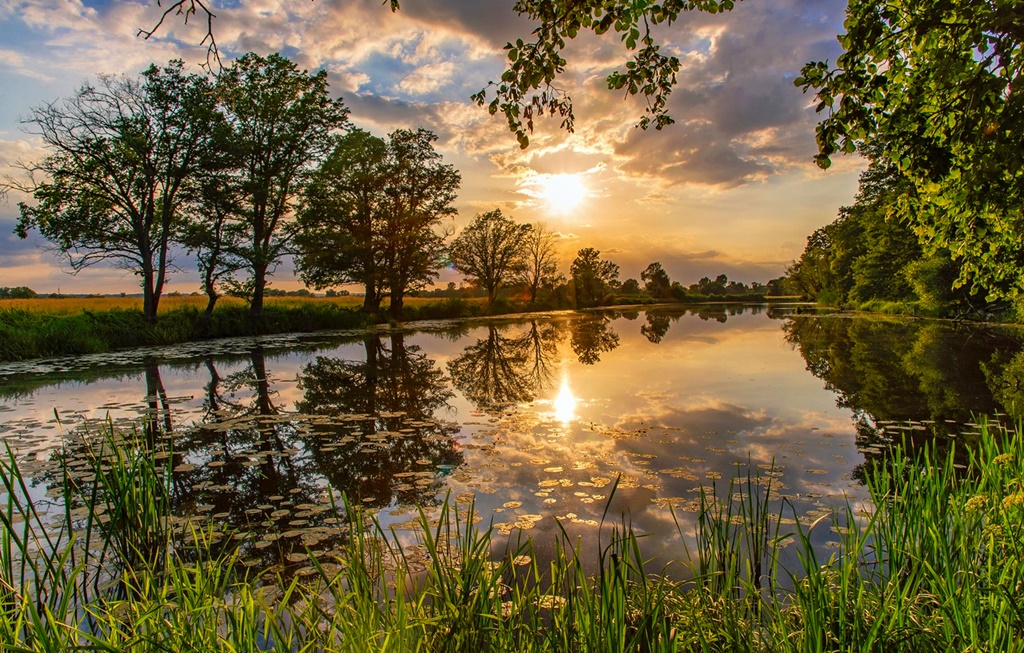 Parco nazionale della Bassa valle dell'Oder